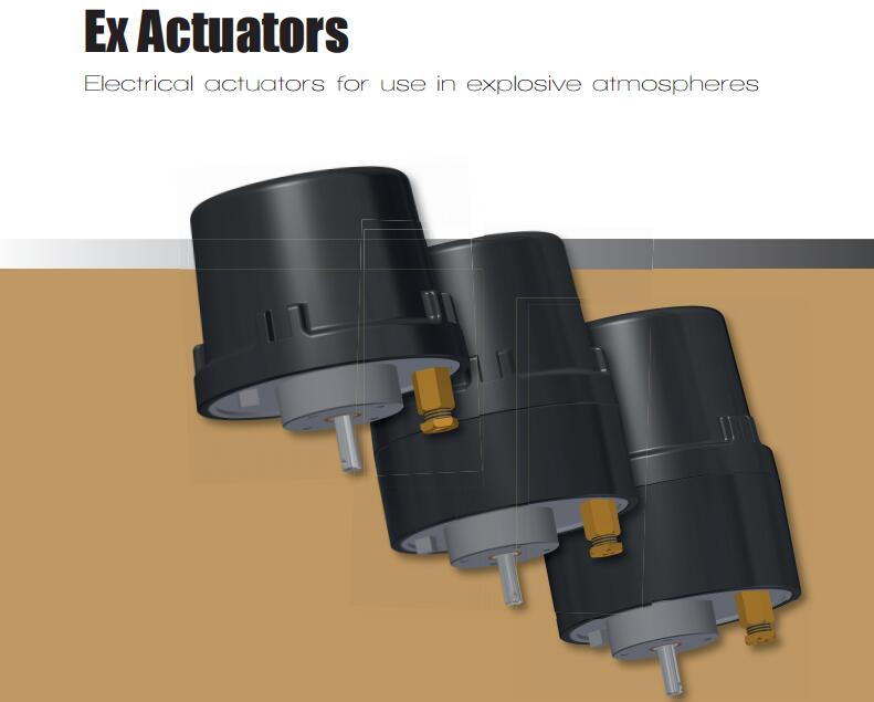 ARIS电动执行器 EX Actuators